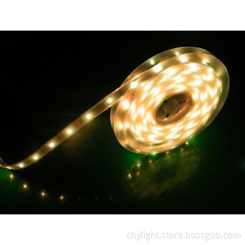 Silicone Rubber Flexible LED Strip 5050 Waterproof IP65,300LEDs